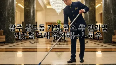 광주 삼도동 카펫 청소 후 관리법: 깨끗함 오래 유지하는 노하우